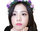 https://image.noelshack.com/fichiers/2021/50/2/1639470094-jisoo-flowers.png