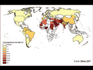 https://image.noelshack.com/fichiers/2021/50/3/1639556300-global-distribution-of-consanguineous-marriage-reprinted-with-permission.png