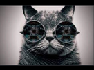 https://image.noelshack.com/fichiers/2021/50/7/1639899406-ed-cat.jpg