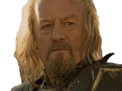 https://image.noelshack.com/fichiers/2021/51/2/1640047396-1530884206-theoden3.png