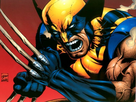 https://image.noelshack.com/fichiers/2021/51/2/1640081985-wolverine-wallpaper-wolverine-3508352-800-600.jpg