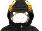 https://image.noelshack.com/fichiers/2021/51/2/1640096705-1639525892-ushi-capuche.png