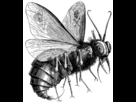 https://image.noelshack.com/fichiers/2021/51/4/1640278735-0a32fdae-20c0-4794-9ef4-30e6ae2f3366.png