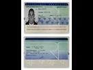https://image.noelshack.com/fichiers/2021/52/1/1640559915-idcard-christiano.png