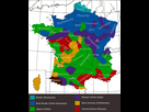 https://image.noelshack.com/fichiers/2021/52/5/1640977459-france-races.jpg