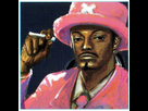 https://image.noelshack.com/fichiers/2021/53/6/1609628233-snoopdoggydogg.jpg