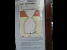 https://image.noelshack.com/fichiers/2021/53/7/1609679141-normandie-146.jpg
