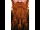 https://image.noelshack.com/fichiers/2021/53/7/1609690847-barbe-de-viking-roux.jpg