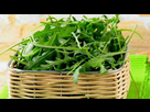 https://image.noelshack.com/fichiers/2022/01/1/1641235413-salade-roquette-1024x576.jpg