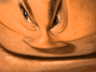 https://image.noelshack.com/fichiers/2022/01/2/1641323046-1603805253-jesus255.png