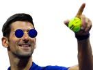 https://image.noelshack.com/fichiers/2022/01/4/1641424637-1641412887-djokovic.png