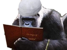 https://image.noelshack.com/fichiers/2022/01/4/1641448531-165b3c00-6b21-4a41-8bc1-dc663d1de7ef.jpeg
