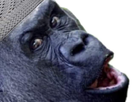 https://image.noelshack.com/fichiers/2022/01/4/1641448531-236977ad-4ec2-40e7-9df4-5bbf44f0f112.jpeg