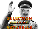 https://image.noelshack.com/fichiers/2022/01/4/1641484666-selectionnaturelle.png