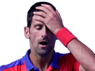 https://image.noelshack.com/fichiers/2022/01/4/1641486072-djokovic.png