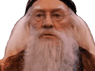 https://image.noelshack.com/fichiers/2022/01/6/1641665480-full.gif