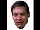 https://image.noelshack.com/fichiers/2022/02/1/1641831640-tobey-crying.png