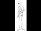 https://www.noelshack.com/2022-02-1-1641833331-tony-duquenoy-grey-alien-humanoid-race-scifi-creature-species-character-design-commission-zipou-shin-blogspot-com-2020.jpg