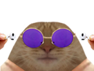 https://image.noelshack.com/fichiers/2022/02/1/1641836674-avortin-chat-airpods-lunettes-ahient.png