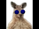 https://image.noelshack.com/fichiers/2022/02/1/1641853990-yeah.png