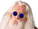 https://image.noelshack.com/fichiers/2022/02/3/1641998086-dumbledore.png