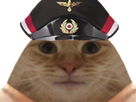https://www.noelshack.com/2022-02-3-1642022029-chatvosmarck.png