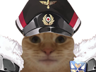 https://www.noelshack.com/2022-02-4-1642098396-1642079596-bismarck-chat.png