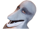 https://image.noelshack.com/fichiers/2022/02/4/1642111273-1489673682-dolphinman5.png