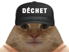 https://image.noelshack.com/fichiers/2022/02/7/1642298353-1636551649-avortin-chat-dechet.png