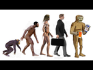 https://image.noelshack.com/fichiers/2022/03/1/1642443730-evolution.jpg