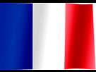 https://image.noelshack.com/fichiers/2022/03/2/1642464722-france-flag.gif