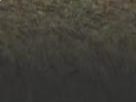 https://image.noelshack.com/fichiers/2022/03/2/1642520334-48-wjvscobo.png