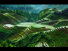 https://image.noelshack.com/fichiers/2022/03/4/1642707347-guangxi-longsheng-rice-terraces-beautiful-landscape-china-2560x1600.jpg