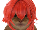 https://image.noelshack.com/fichiers/2022/03/6/1642842184-chatdiluc.png