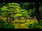 https://image.noelshack.com/fichiers/2022/03/6/1642865467-japan-kyoto-garden-2k-wallpaper.jpg