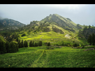 https://image.noelshack.com/fichiers/2022/03/6/1642865807-360629-nature-landscape-photography-wildflowers-grass-trees-green-mountains-overcast-daylight-france.jpg