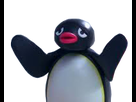 https://image.noelshack.com/fichiers/2022/04/1/1642981477-pingu-emote1.png