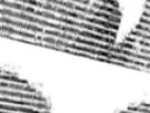 https://image.noelshack.com/fichiers/2022/04/1/1643023480-8-dj14nqje.png