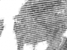 https://image.noelshack.com/fichiers/2022/04/1/1643023481-19-dj14nqje.png