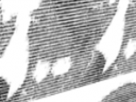 https://image.noelshack.com/fichiers/2022/04/1/1643023481-20-dj14nqje.png