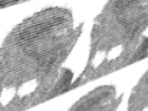 https://image.noelshack.com/fichiers/2022/04/1/1643023481-24-dj14nqje.png