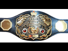 https://www.noelshack.com/2022-04-1-1643032025-wwwf-junior-heavyweight-championship.jpg