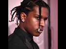 https://image.noelshack.com/fichiers/2022/04/1/1643046370-asap-rocky-braids-with-ponytail.jpg