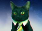 https://image.noelshack.com/minis/2022/04/2/1643140821-chaton-berbere2souche.png