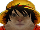 https://image.noelshack.com/fichiers/2022/04/6/1643474620-luffy-chat.png