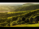 https://image.noelshack.com/fichiers/2022/04/7/1643542432-277800-nature-landscape-trees-forest-england-uk-hill-west-sussex-field-grass-fence-green.jpg