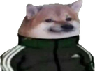 https://image.noelshack.com/fichiers/2022/06/4/1644532197-doggo.png