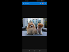 https://image.noelshack.com/fichiers/2022/06/5/1644542192-screenshot-20220211-021105-com-brave-browser.jpg
