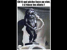 https://image.noelshack.com/fichiers/2022/06/5/1644576247-image.png