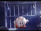 https://image.noelshack.com/fichiers/2022/06/6/1644703940-kirby-qui-se-fait-chopper-par-la-police-pas-de-chance-dp32iufuuaizxsd.png